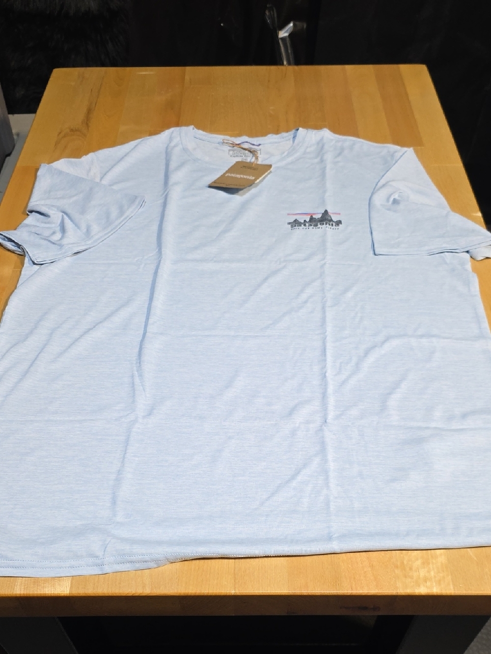 Patagonia Light Blue Short Sleeve Graphic Tee